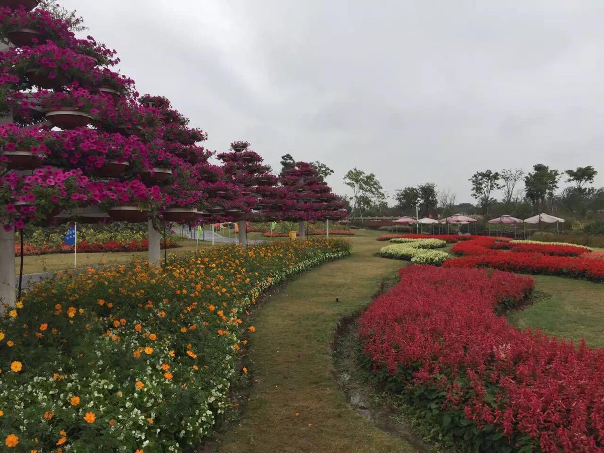 周浦花海旅游景点攻略图
