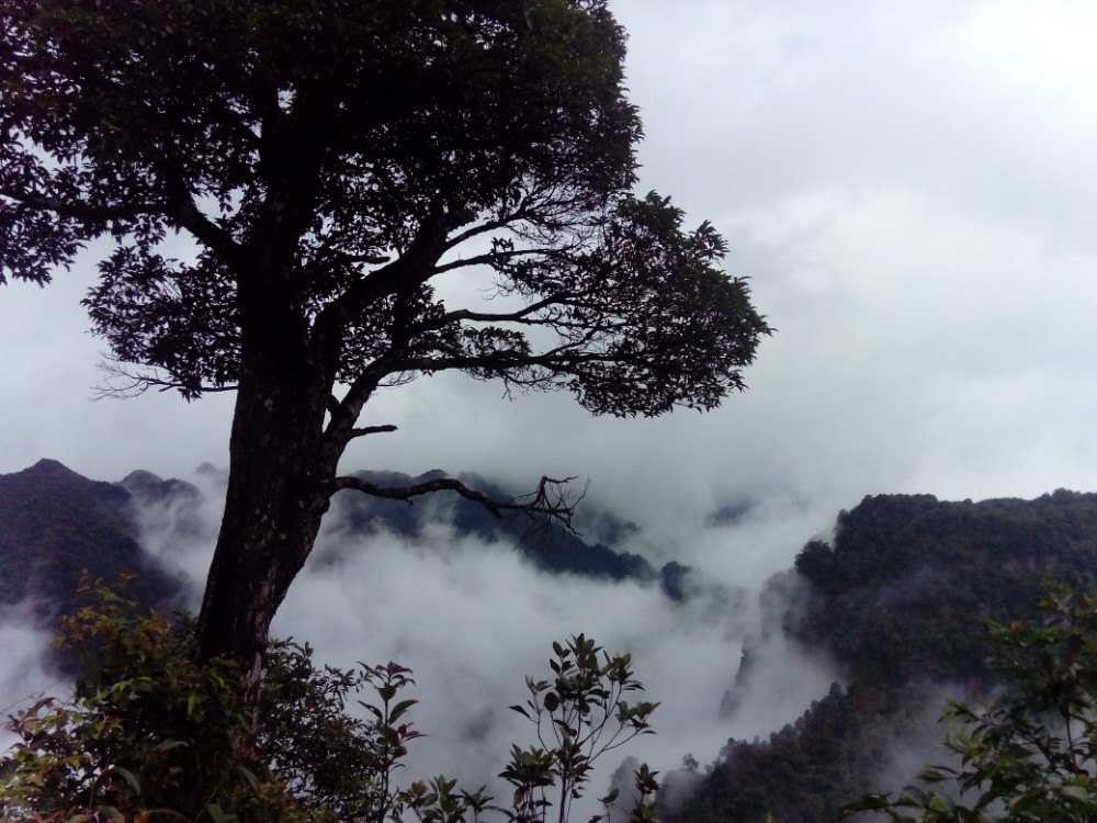 比十万大山风景区优美.仙境.