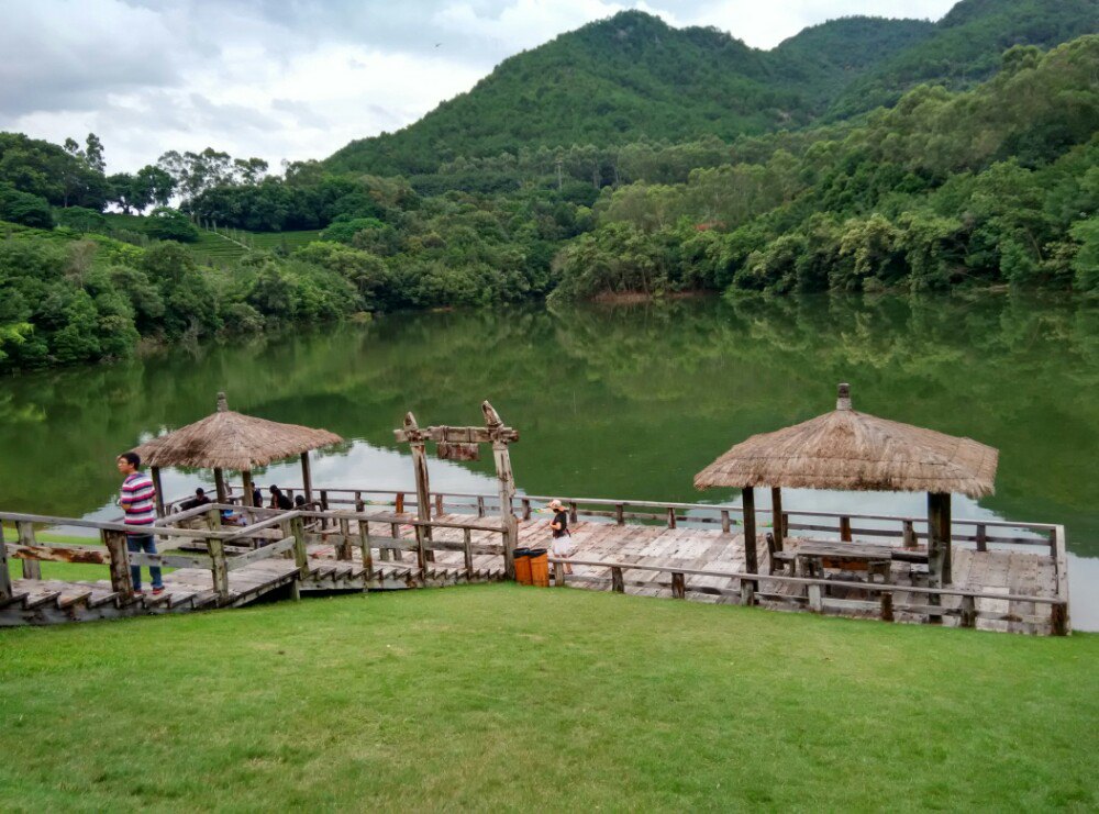 雁南飞茶田景区