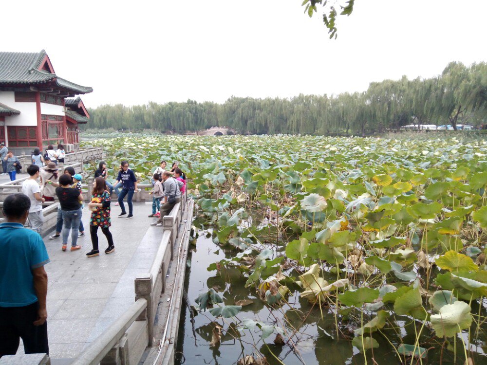 大明湖景区旅游景点攻略图