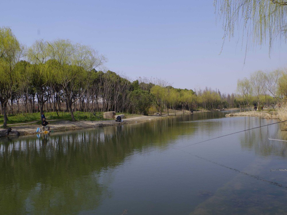 江湾湿地公园