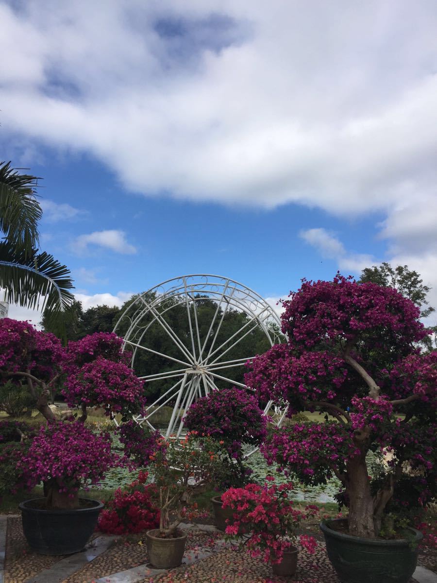 【携程攻略】广东广州中国科学院华南植物园好玩吗,院