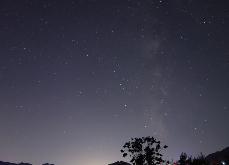 孩子选取的场景,在一个树梢的映衬下,夜空繁星点点.