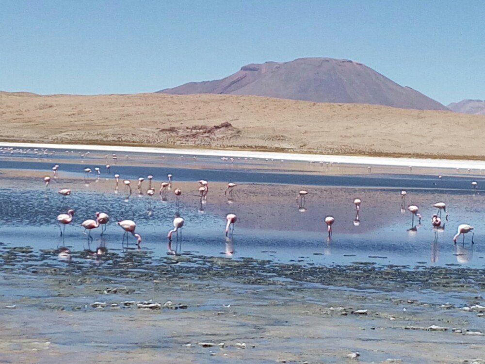 乌尤尼盐湖uyuni salt flat