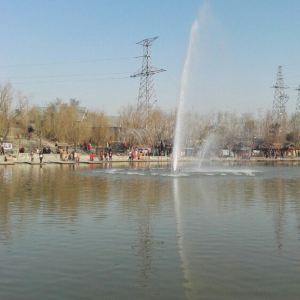 沙河湿地公园