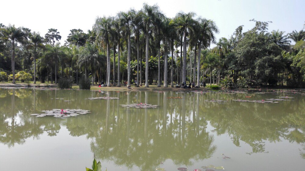 中科院西双版纳热带植物园