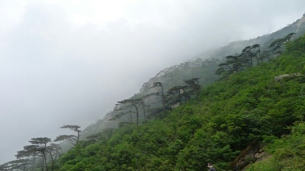 石台牯牛降