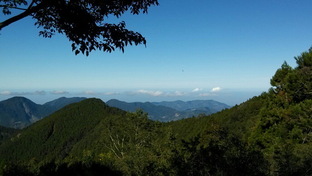 【携程攻略】阿里山乡阿里山森林铁路景点,阿里山山脉