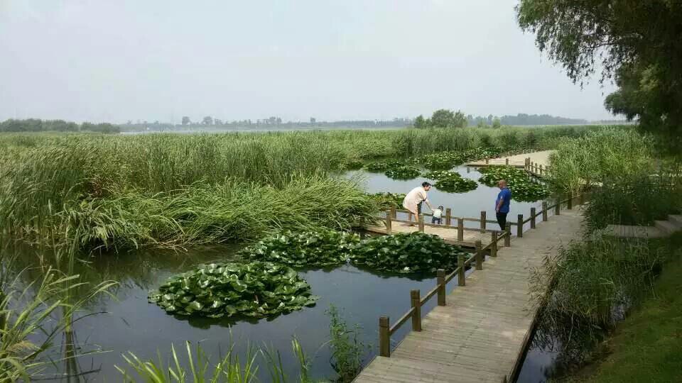 铁岭铁岭莲花湿地好玩吗,铁岭铁岭莲花湿地景点怎么样