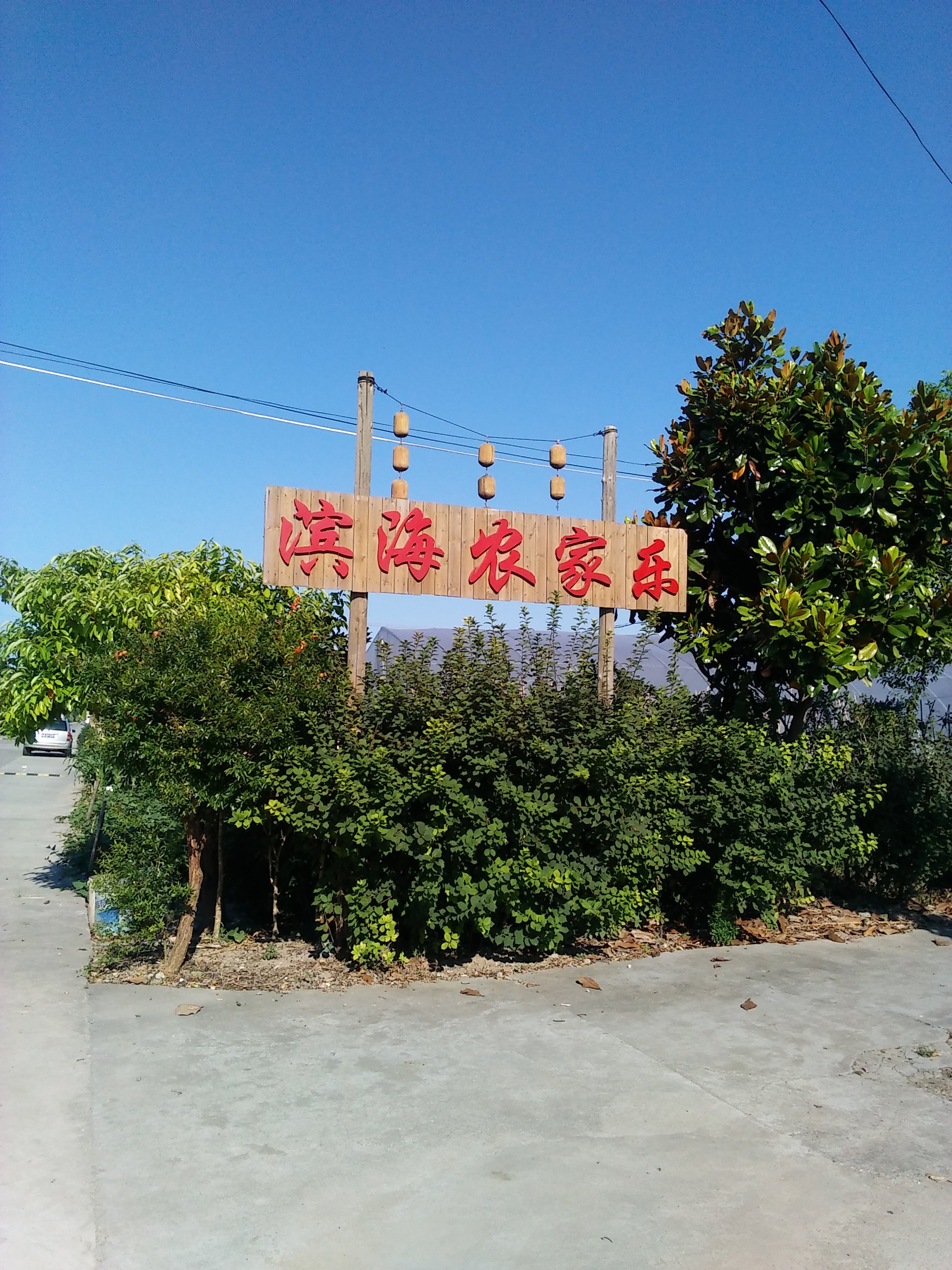 周末 上海南汇农家乐旅游 采摘水果 钓螃蟹 滴水湖
