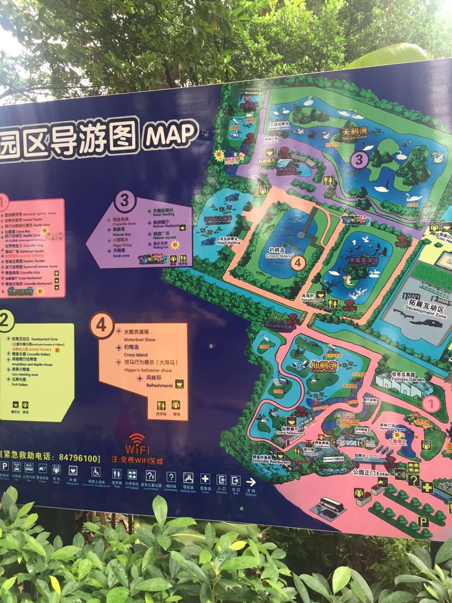 长隆飞鸟乐园
