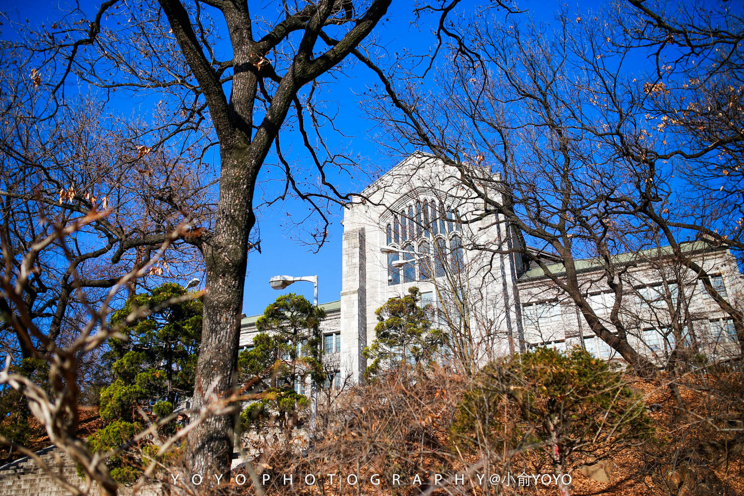 【携程攻略】首尔梨花女子大学好玩吗,首尔梨花女子大学景点怎么样_点