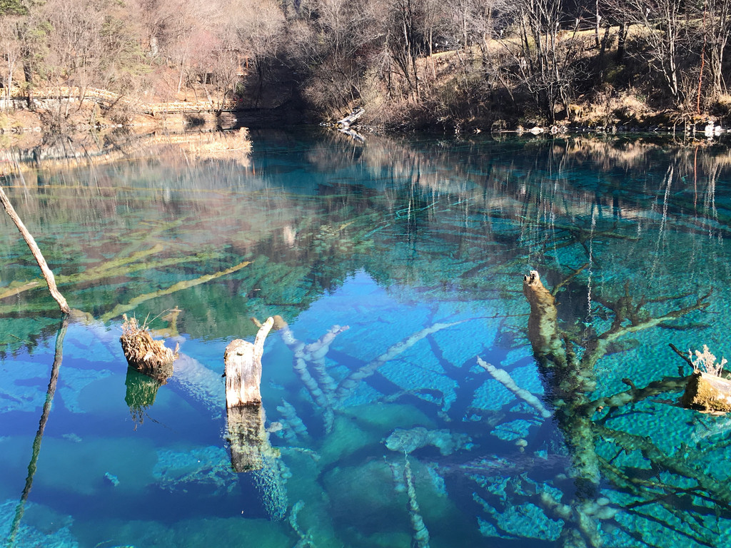 我的2015#一场说走就走的旅行—成都,九寨沟(补充图片,视频,问题