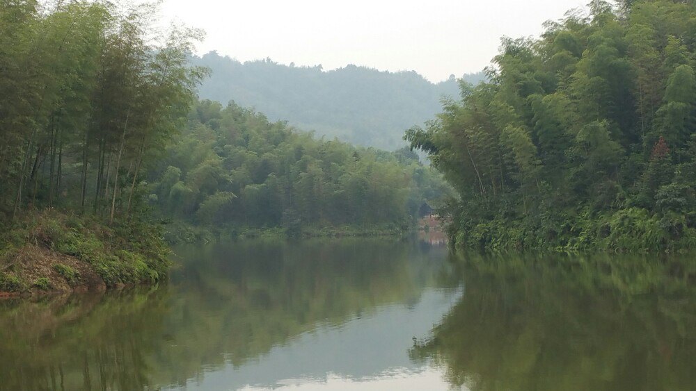 赤水竹海公园