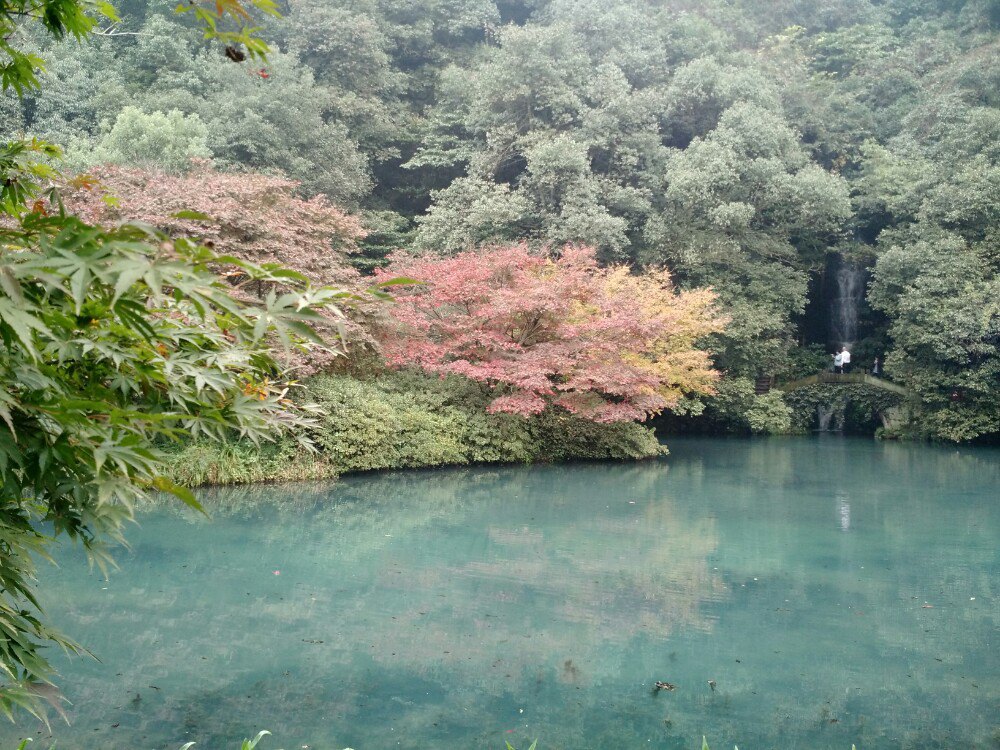 【携程攻略】浙江杭州九溪烟树好玩吗,浙江九溪烟树景点怎麼样_点评