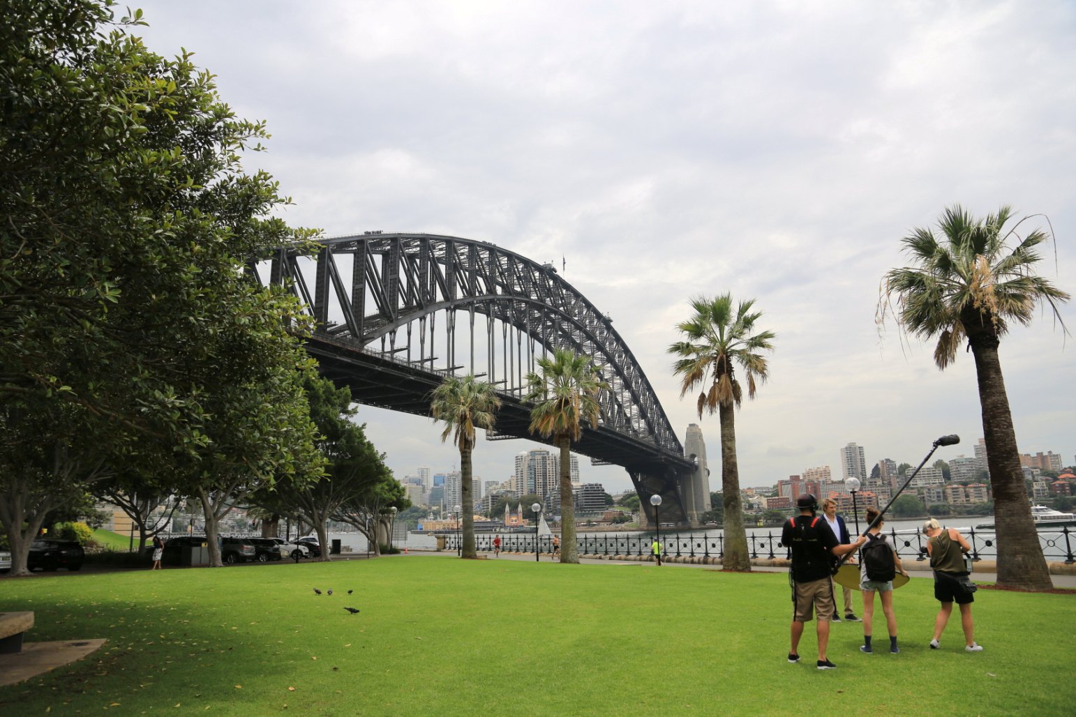 壁纸 : 澳大利亚, 悉尼海港大桥, 建筑物, 棕榈树, 海岸 1680x1050 - goodfon - 654599 - 电脑桌面壁纸 ...