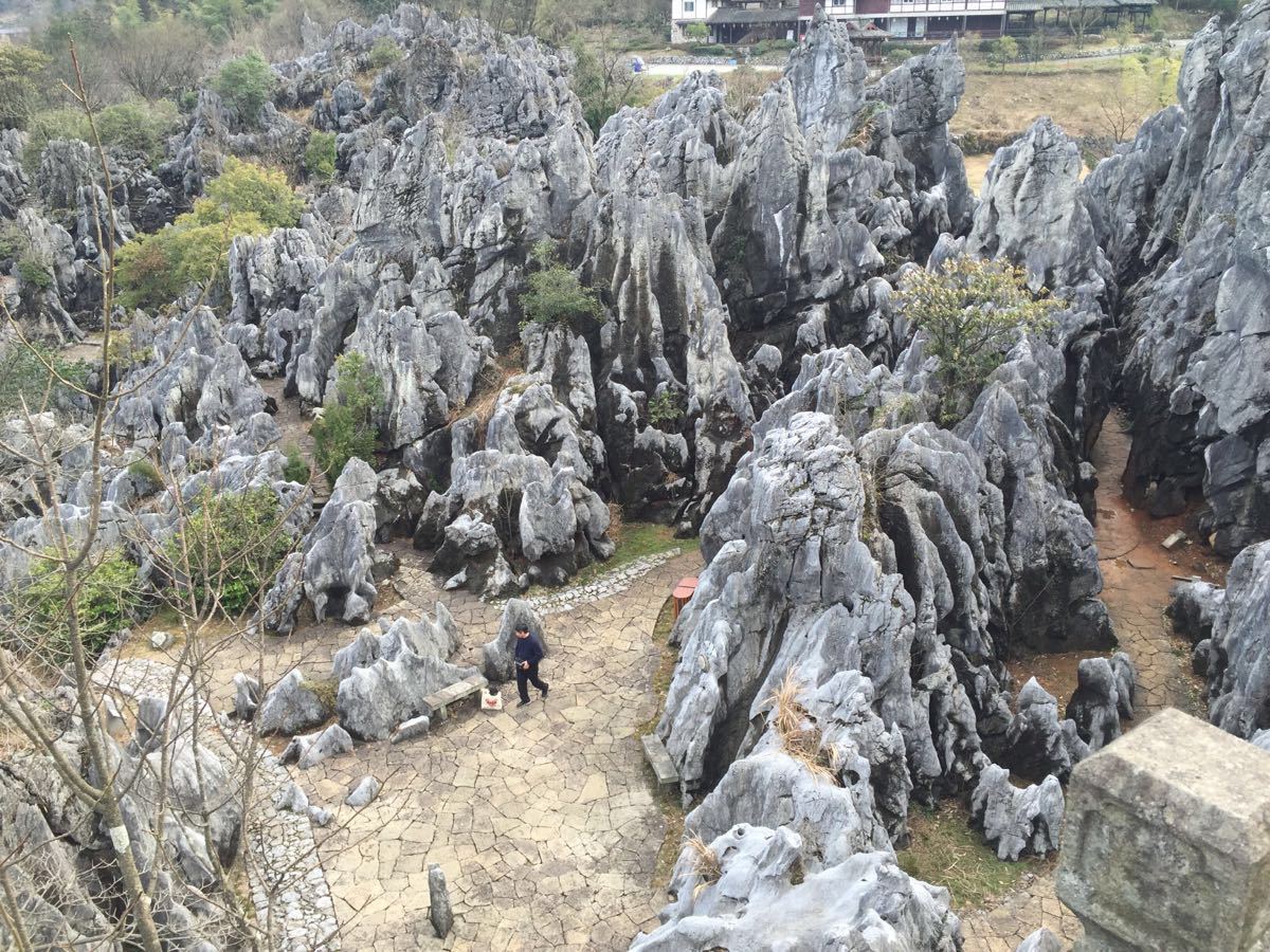 千岛湖石林景区