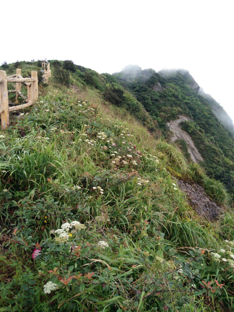 【携程攻略】兴安县桂林猫儿山适合朋友出游旅游吗