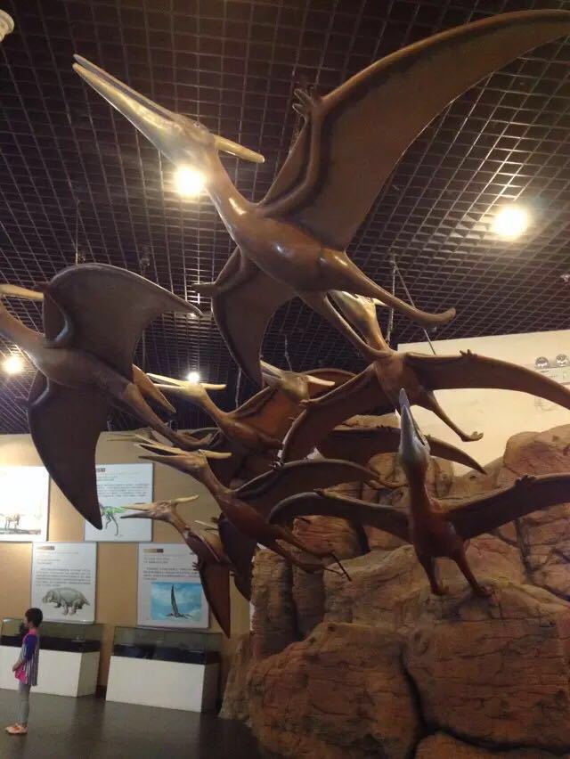 昌吉恐龙博物馆