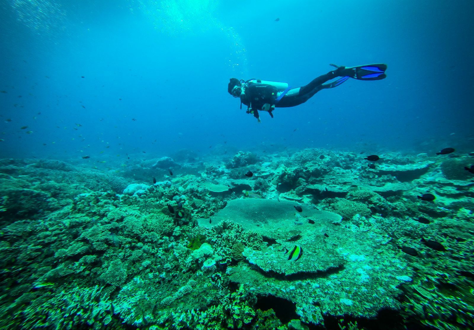 印度尼西亚巴厘岛6日跟团游·蓝梦岛 海底漫步+浮潜 海边国际五星 库塔-【携程旅游】