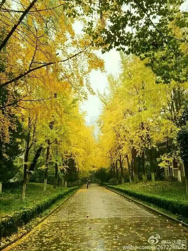 郑州大学