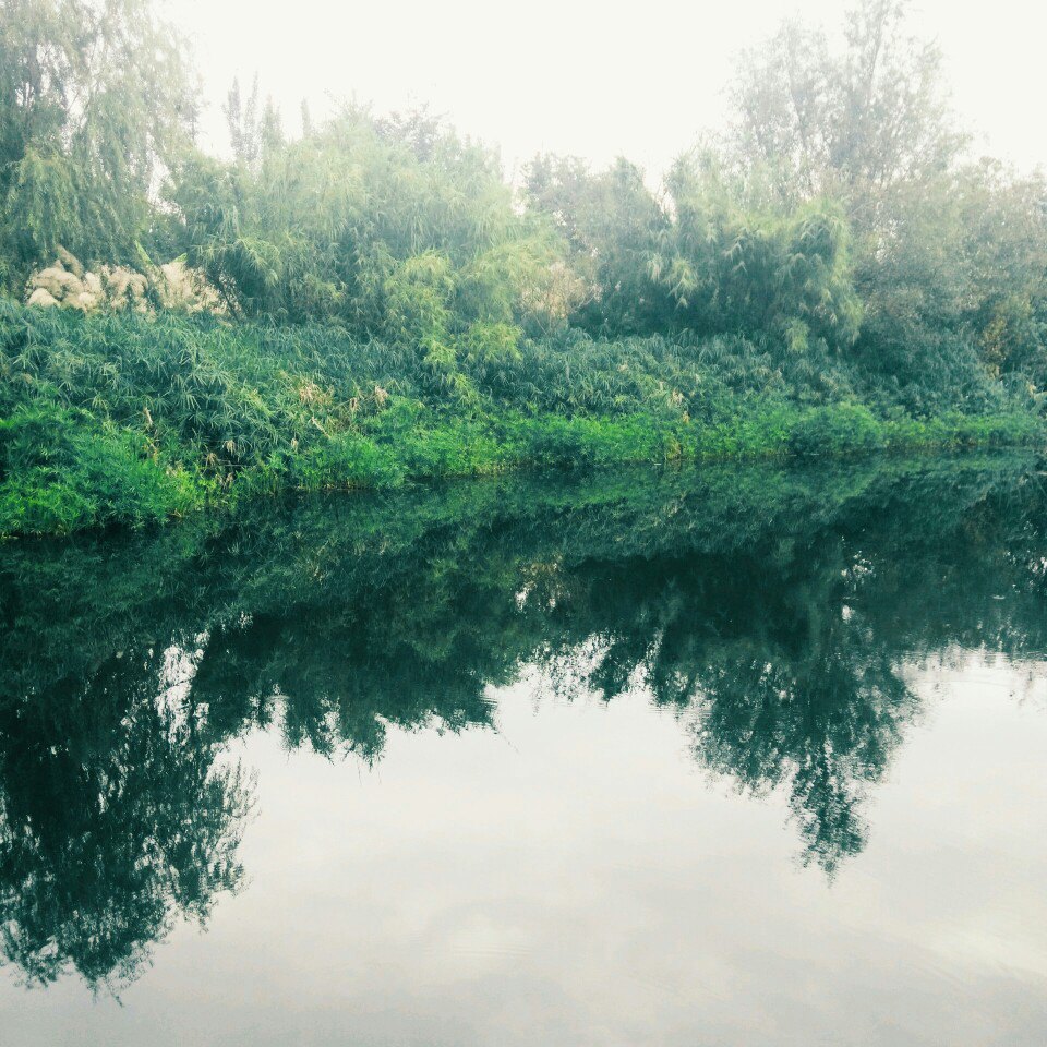 烟雨鹭洲湿地