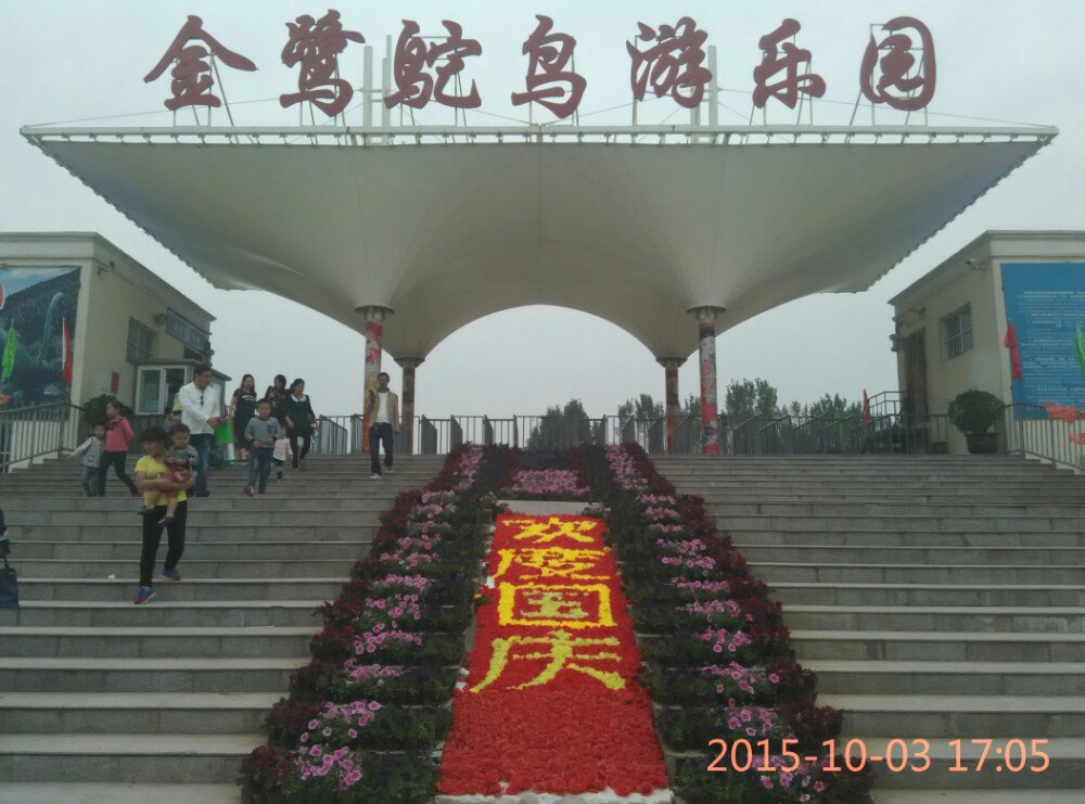 金鹭鸵鸟游乐园