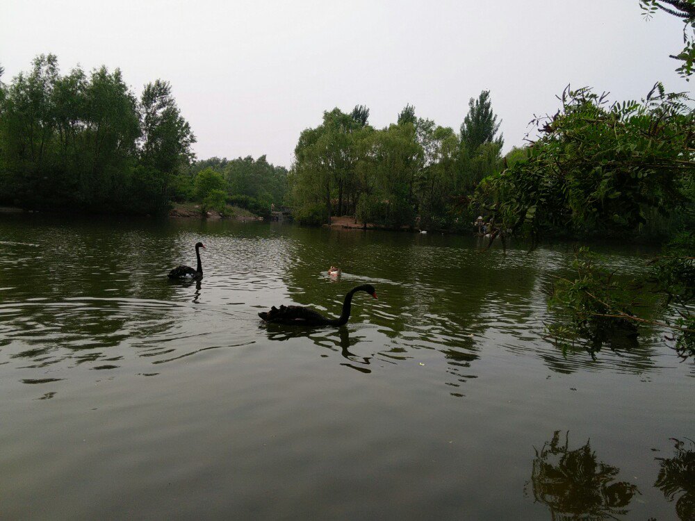 沈阳鸟岛