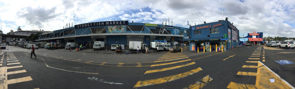 sydney fish market