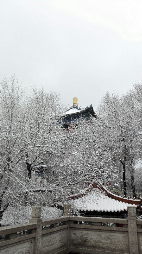 红山公园