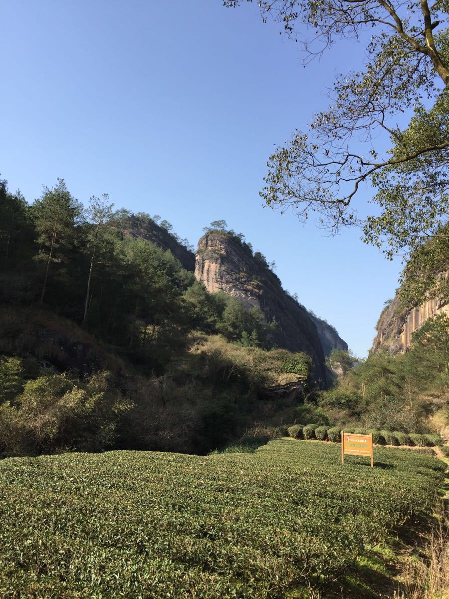 【携程攻略】福建南平武夷山虎啸岩好玩吗,福建虎啸岩