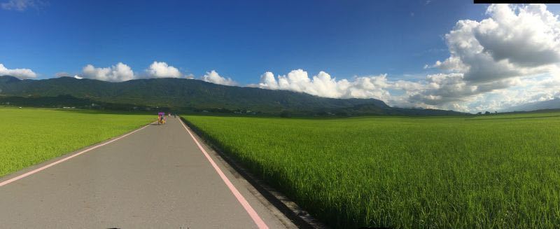 【携程攻略】台湾台东伯朗大道好玩吗,台湾伯朗大道景点怎么样_点评