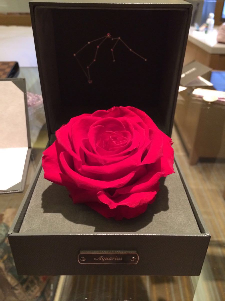 roseonly旗舰店星座永