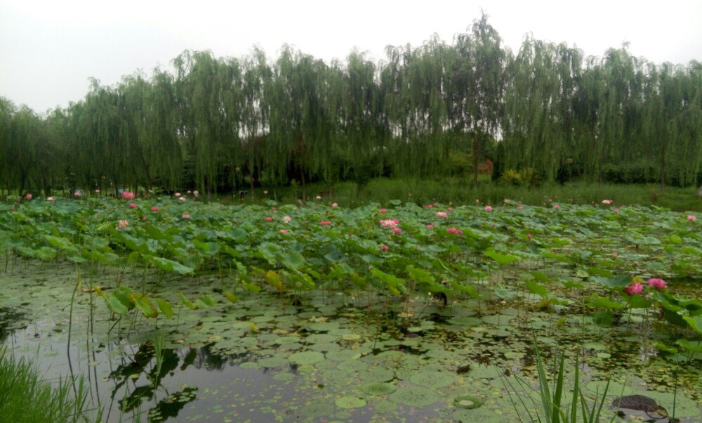 【携程攻略】北京东升八家郊野公园景点,免费.位置和.