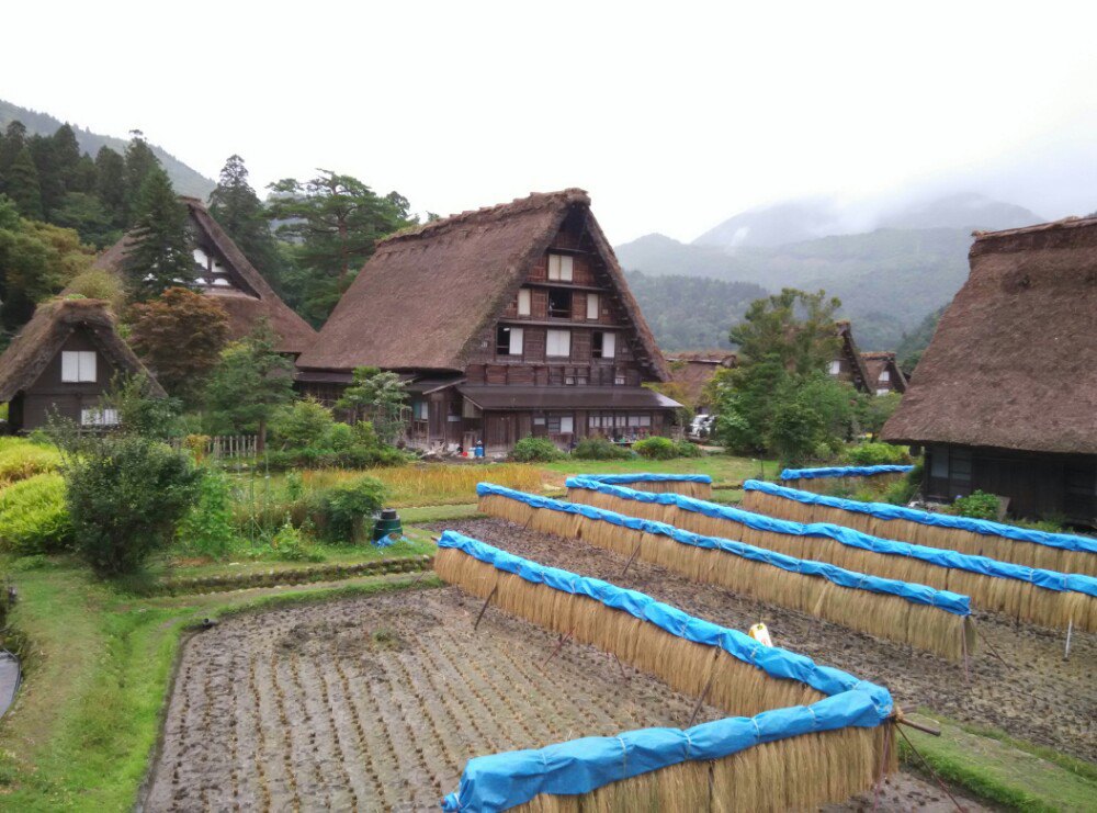 白川乡合掌村