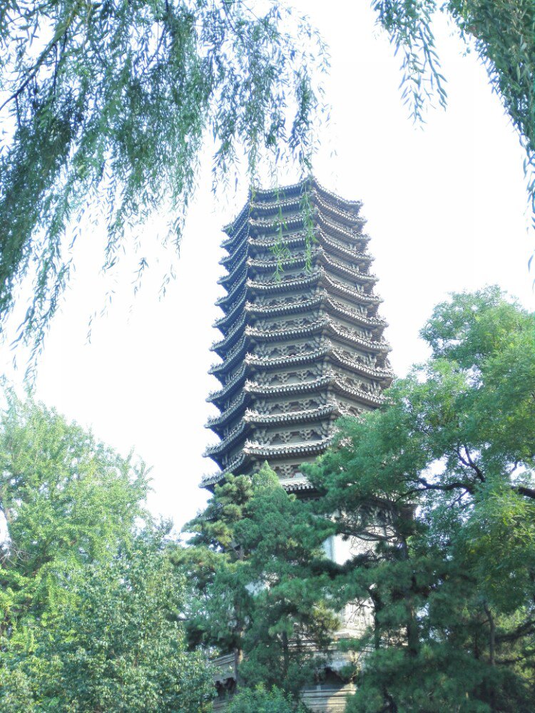 北京大学