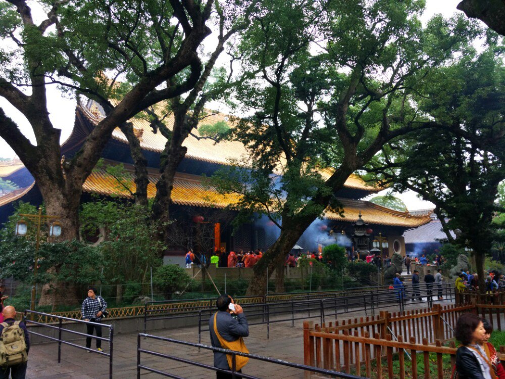 2019普济禅寺_旅游攻略_门票_地址_游记点评,普陀山