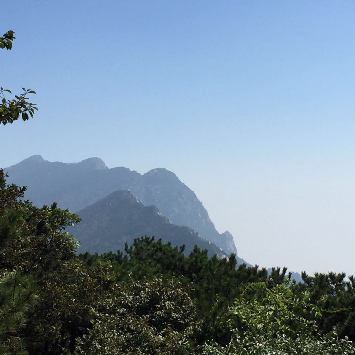 【携程攻略】庐山风景区含鄱口景点,在庐山上算好走又好看的景点了 坐