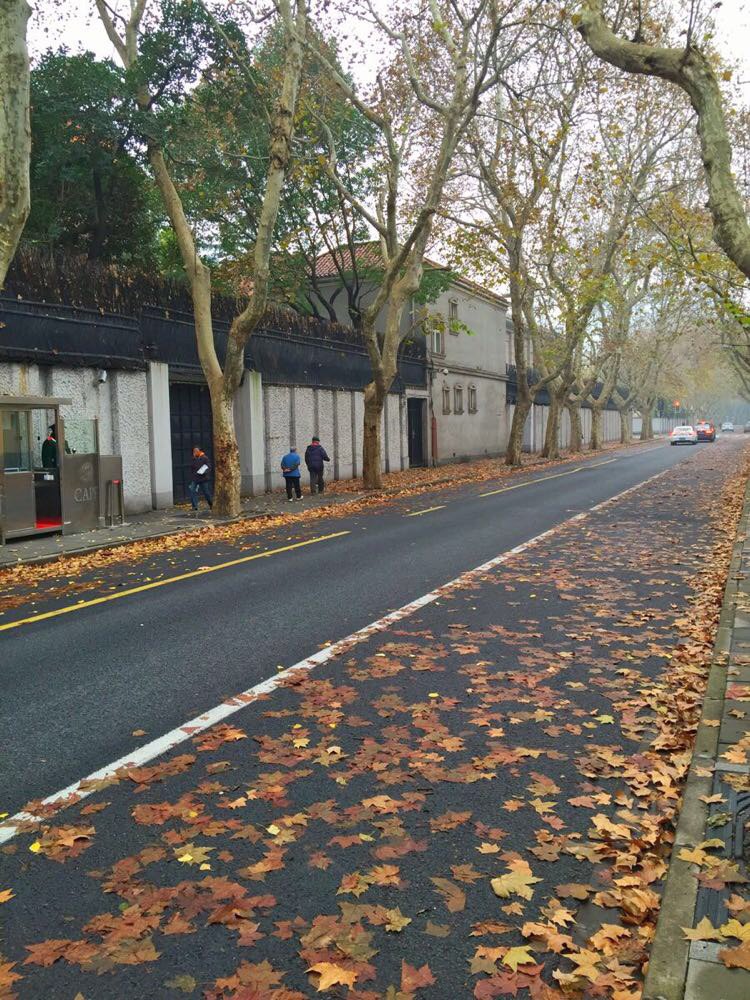 车子又少,康平路, 衡山路,吴兴路,都是欣赏落叶和街边风景的好地方