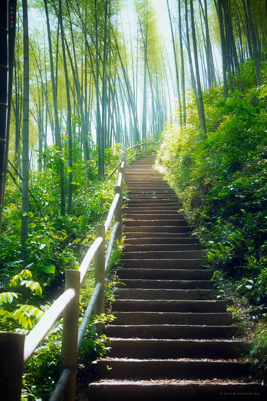              曲径通幽,沿着竹林