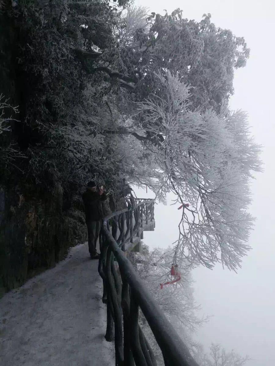 张家界多少度天门山上有雪景看