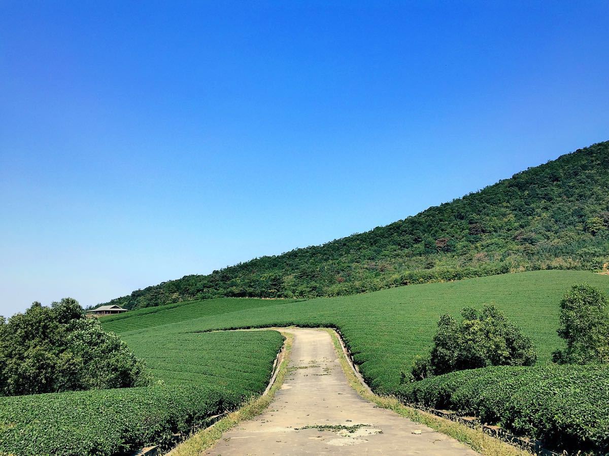 龙池山自行车公园