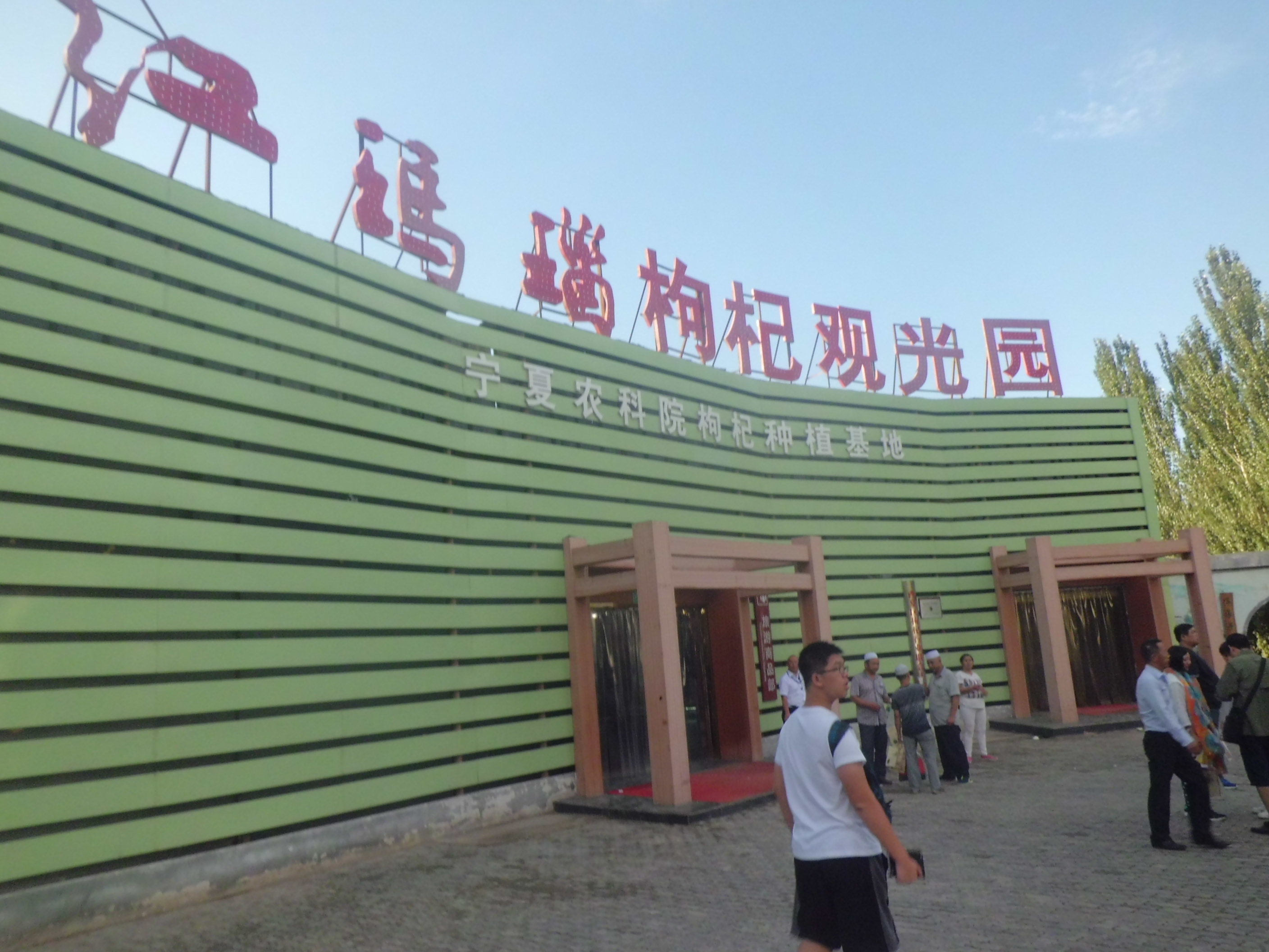 红玛瑙枸杞观光园