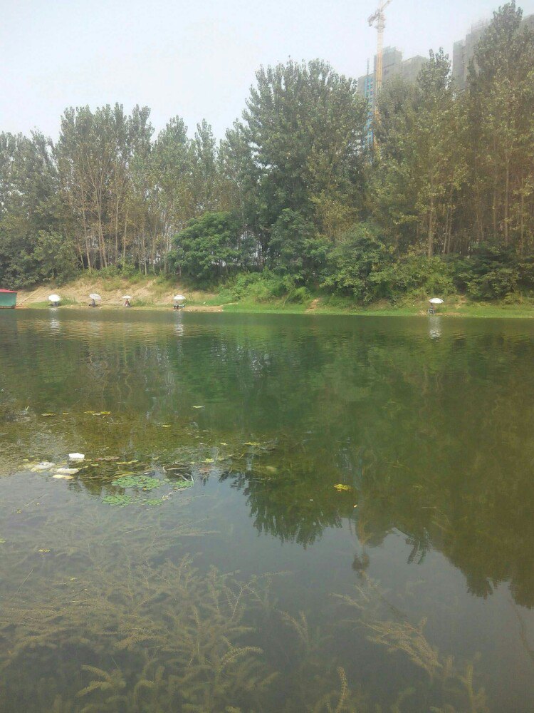 2019沙澧河风景区_旅游攻略_门票_地址_游记点评,漯河