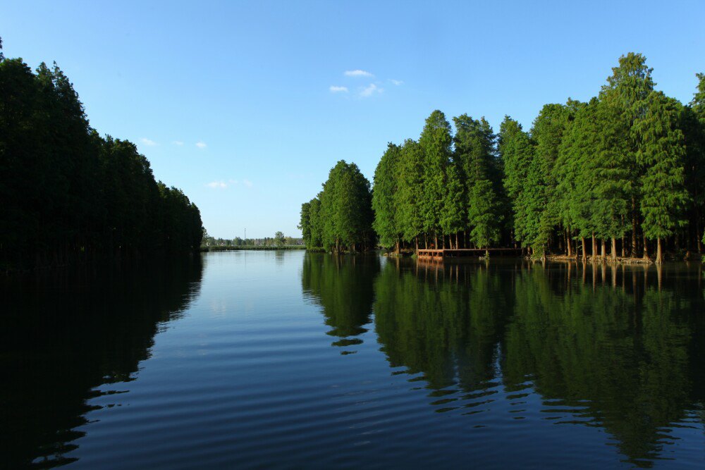 李中水上森林公园