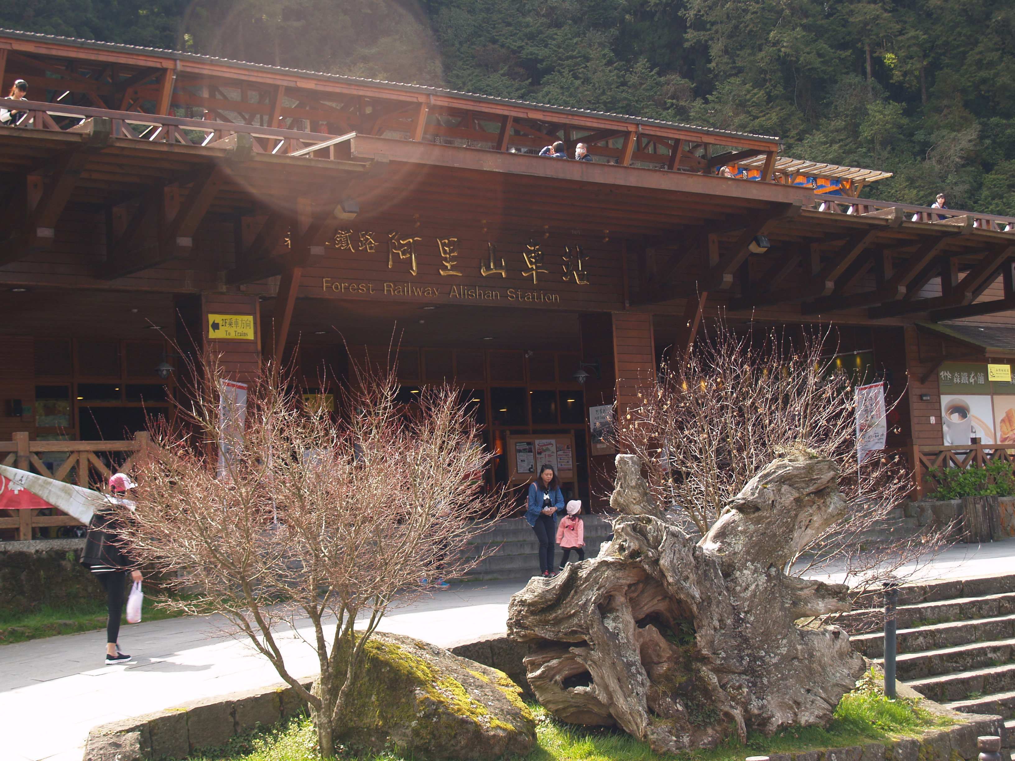 阿里山国家风景区