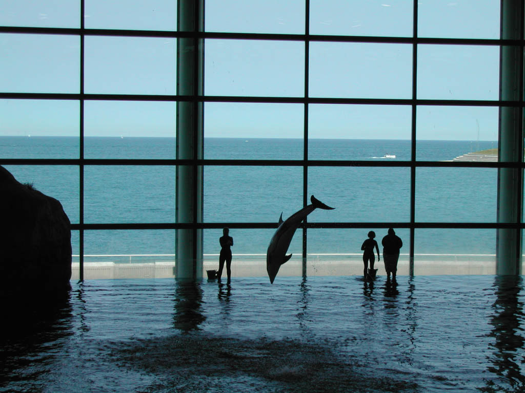 谢德水族馆旅游景点攻略图