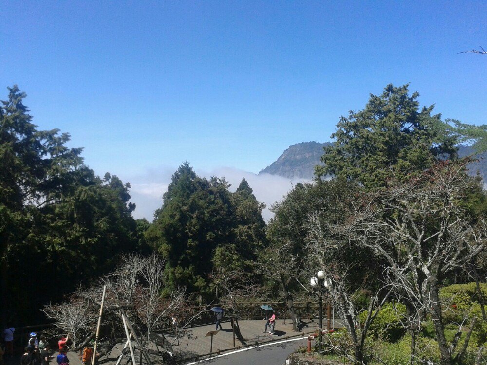 阿里山国家风景区