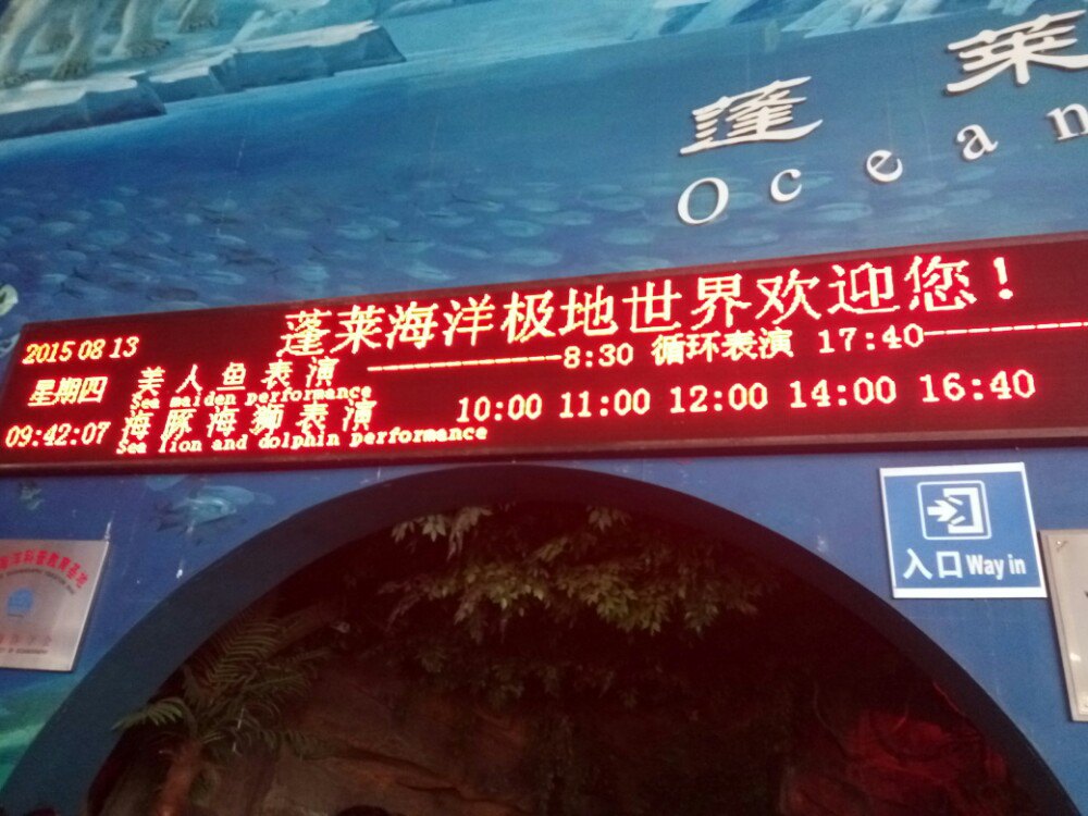 2019攻略地址海洋_v攻略门票_极地_攻略_游记点评,蓬莱乌镇西塘自助游世界图片