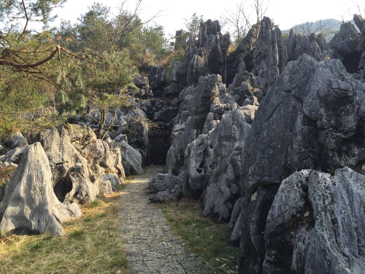 千岛湖石林景区